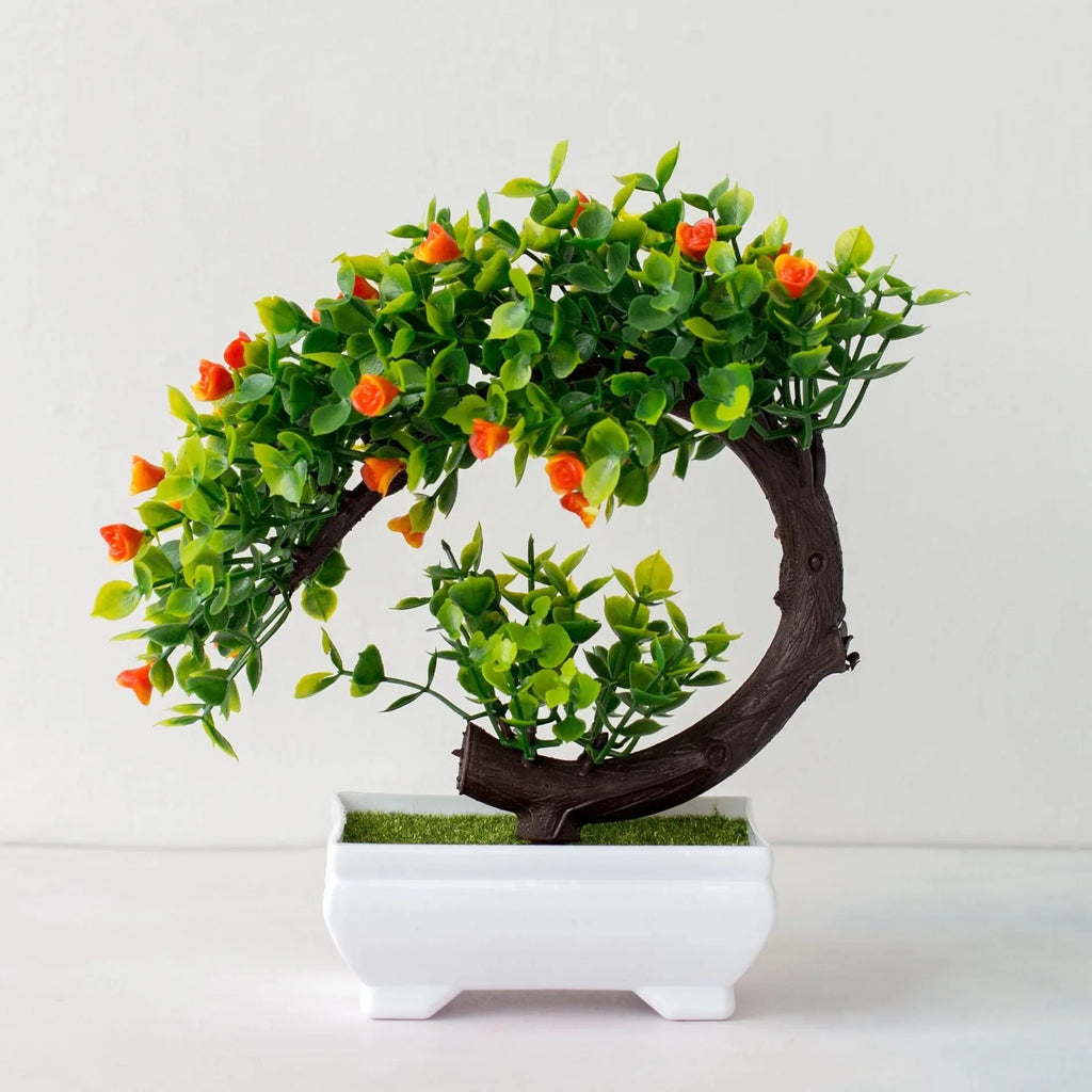 Calma Bonsai