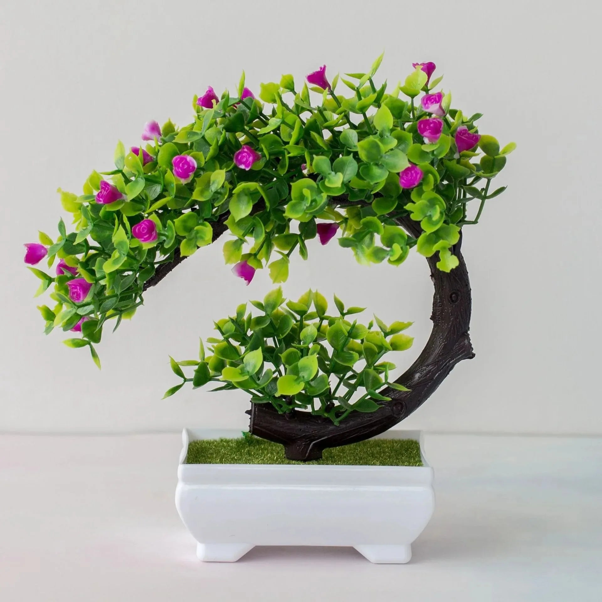 Calma Bonsai