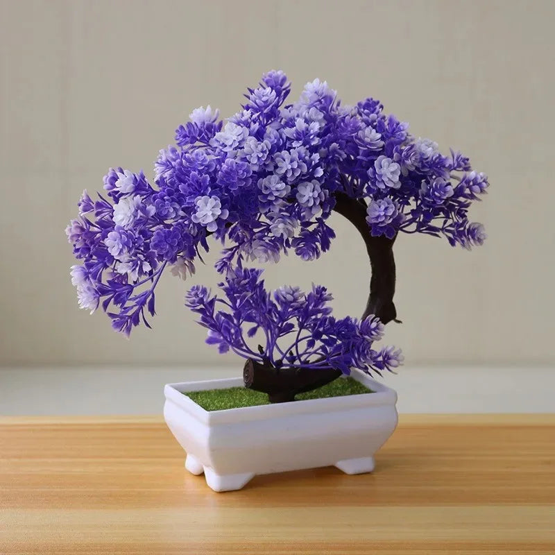 Calma Bonsai
