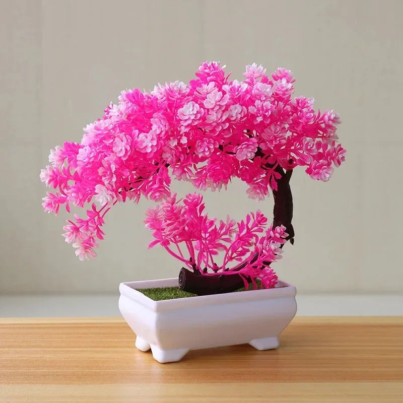 Calma Bonsai