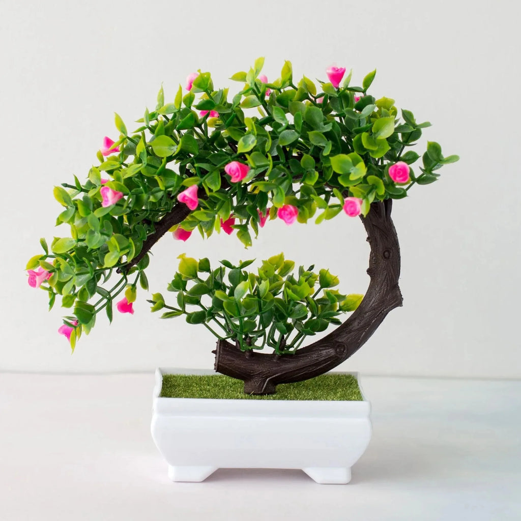 Calma Bonsai