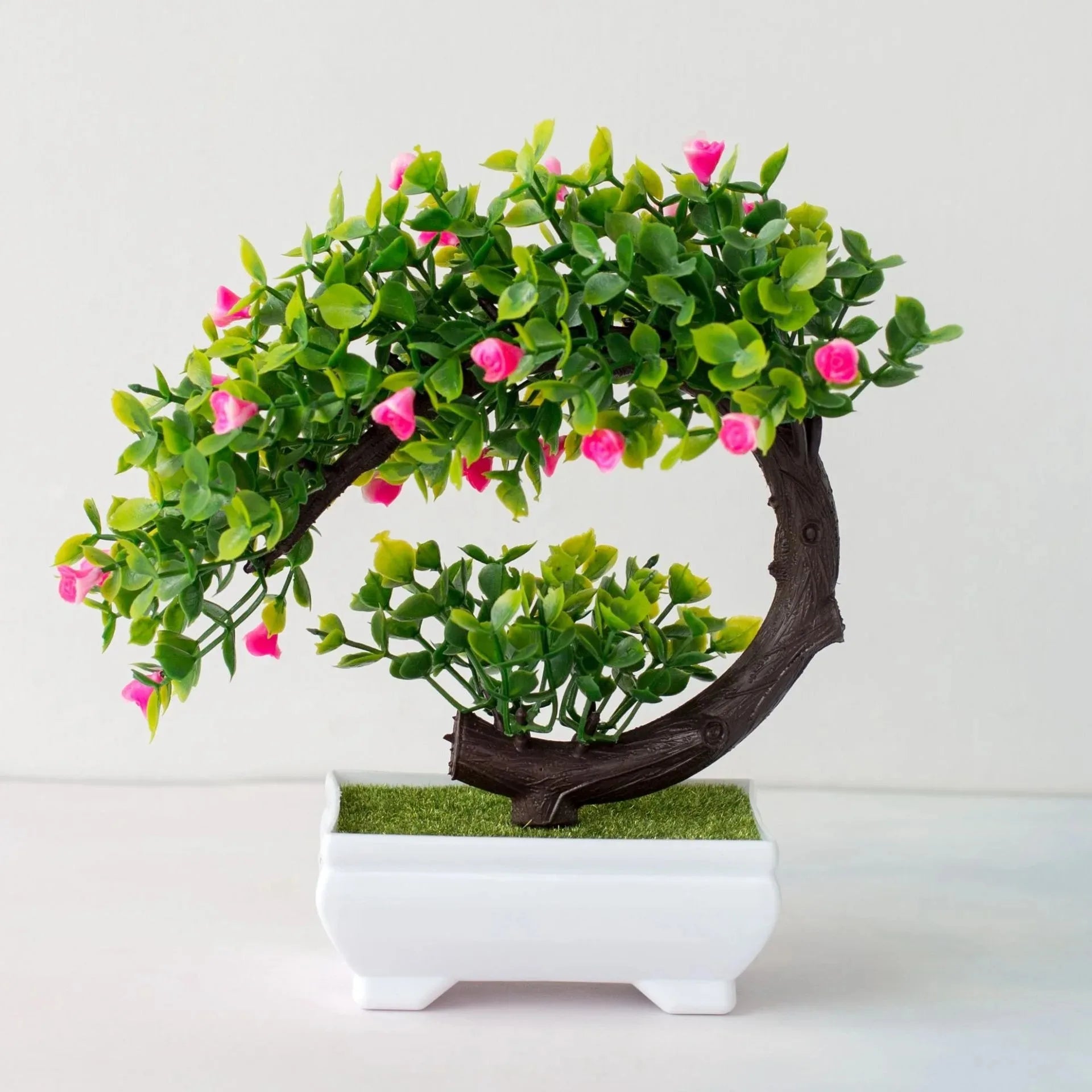 Calma Bonsai