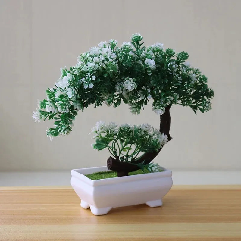 Calma Bonsai