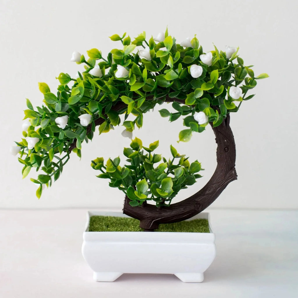 Calma Bonsai