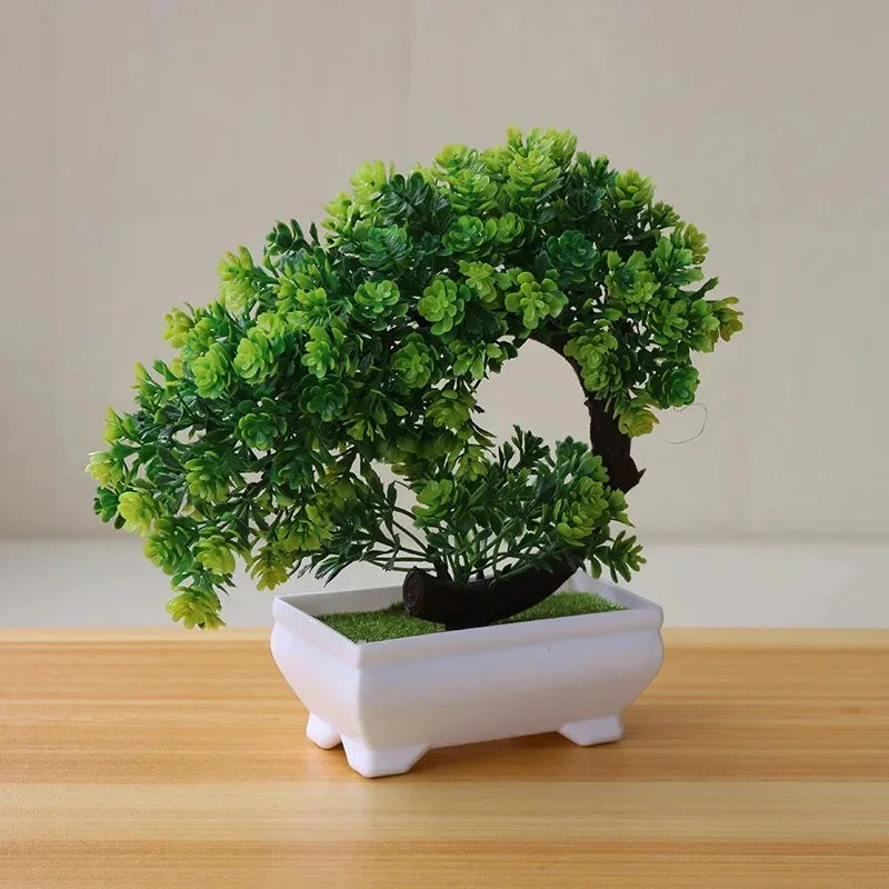 Calma Bonsai