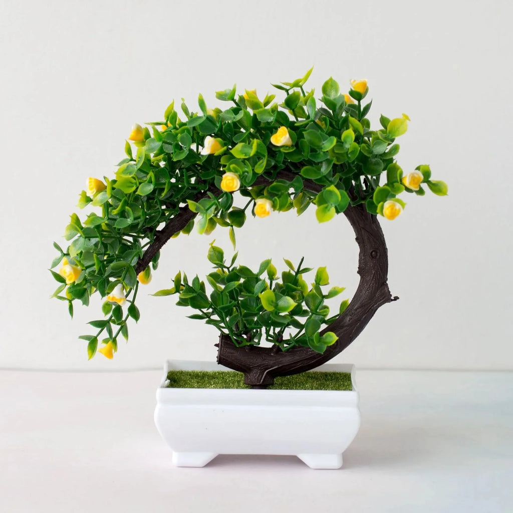 Calma Bonsai